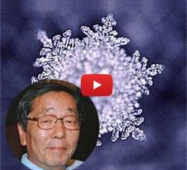 poder das palavras Dr. Emoto Palestra português