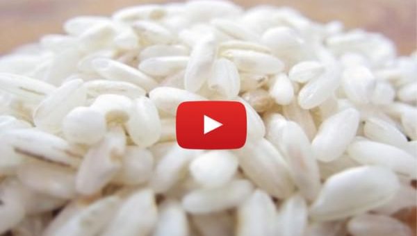O poder das Palavras por Dr. Emoto – uma experiência com arroz